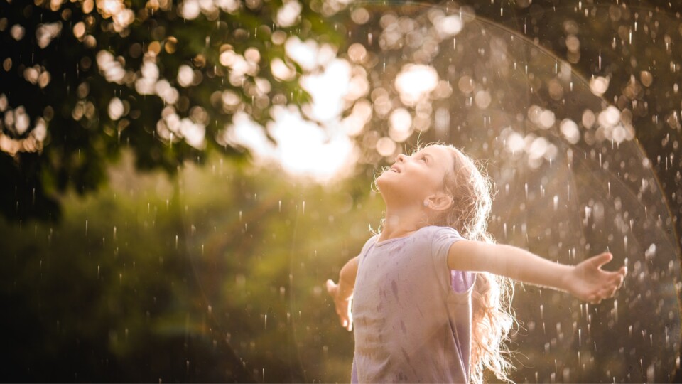 Qi Quant Water Alive